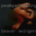 Beaver swingers