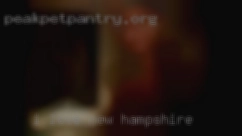 I LOVE TO HAVE PLENTY OF in New Hampshire FOREPLAY.
