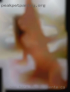 New here San Clemente, CA but im on other hot sites.