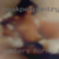 Numbers horny females